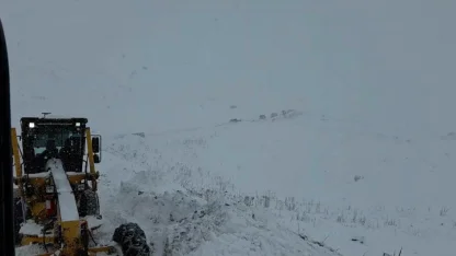 Artvin Valisi Turan Ergün: "3 çobanın çığ altında kaldığı yönünde bir bilgi geldi"