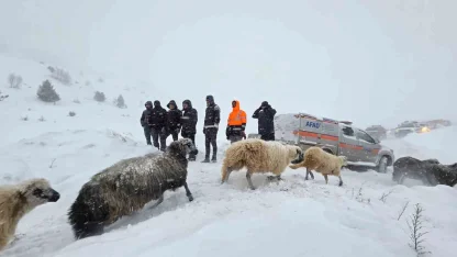 Artvin’de çığ altında kalan 3 çobandan birinin cansız bedenine ulaşıldı