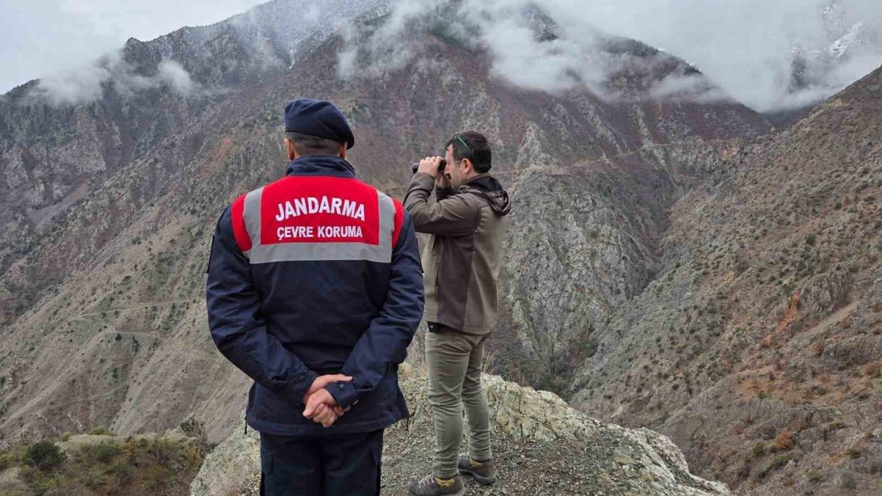 Artvin’de kaçak ve usulsüz avcılığa yönelik denetimler sürüyor