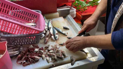 Doğru bilinen yanlışı uzmanı açıkladı: "Gözüne bakıp tazeliğini anlarım diyen yalan söyler"