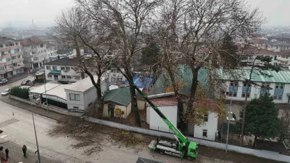 Düzce’de ağaçlara kış bakımı