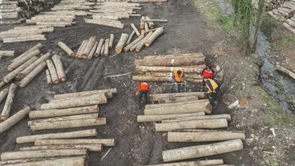 Düzce’den 22 bin 310,95 ton orman ürünü ihraç edildi