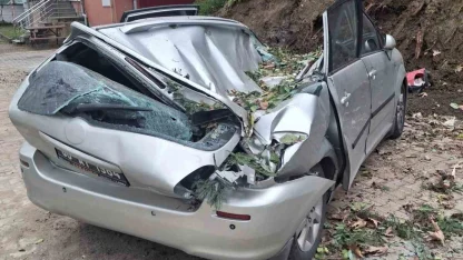 Giresun’da devrilen ağaç bir aracı kullanılamaz hale getirdi