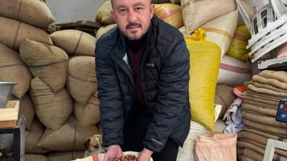 Giresun’da fındık fiyatı yılbaşına günler kala yükselişe geçti