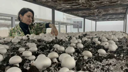 Hem eğitim görüp hem üretiyorlar