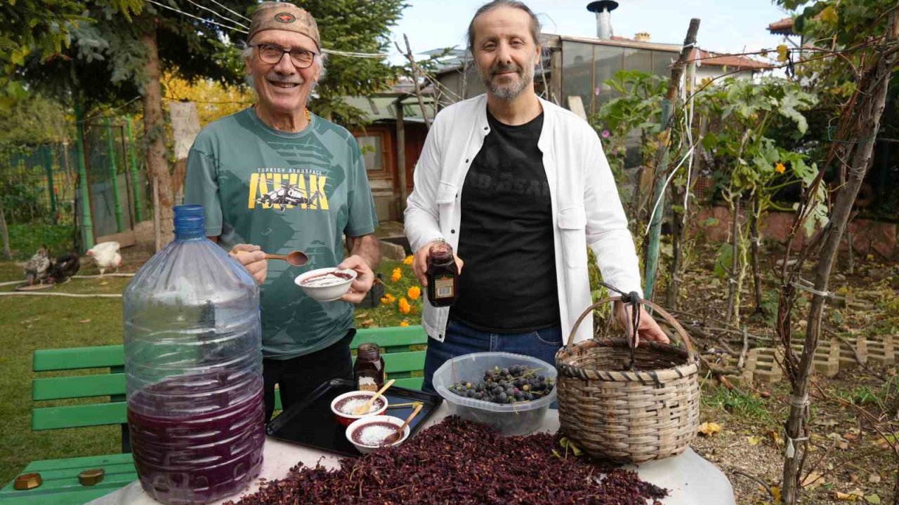 Kanser hücrelerinin oluşumunu önleyen kokulu üzümün üretimi arttırılacak