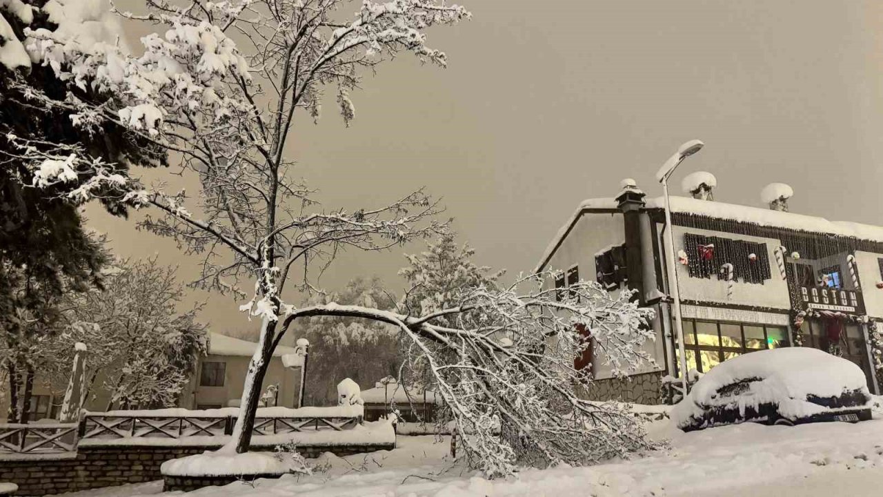 Karabük’te kar ağırlığına dayanamayan çok sayıda ağacın dalların kırıldı