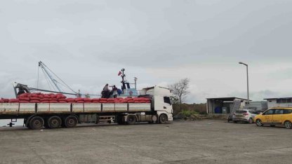 Karadeniz’den çıkartılan beyaz kum midyesine sıkı denetim