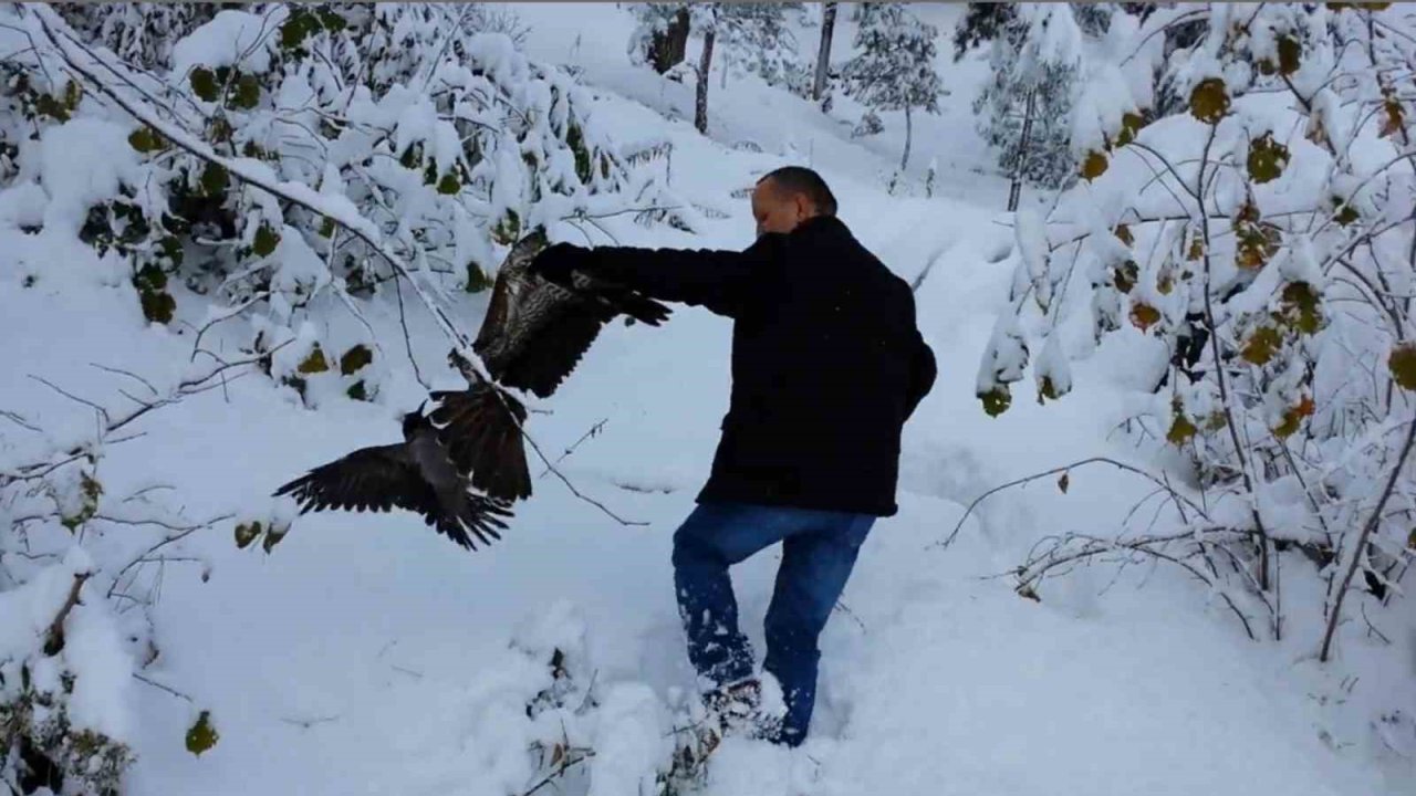 Kargayı atmacanın pençelerinden yoldan geçen vatandaşlar kurtardı