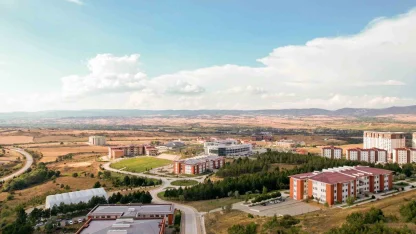 Kastamonu Üniversitesi’nin kayın kontrplak üretimine yönelik çalışması tescillendi