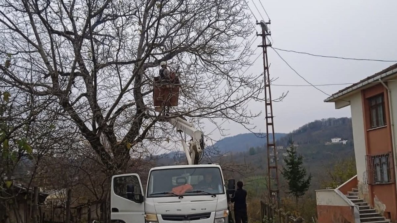 Ordu’da elektrik tellerine temas eden ağaç dalları kesildi