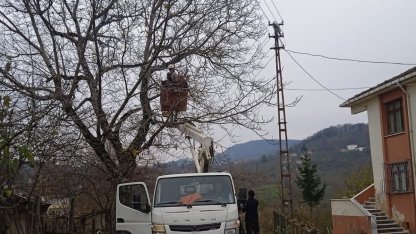 Ordu’da elektrik tellerine temas eden ağaç dalları kesildi