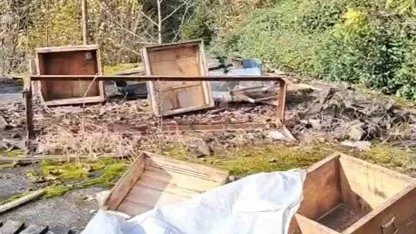 Rize’de ayının kovanlarına saldırdığı üreticiden "Ben şimdi ne edeyim?" tepkisi