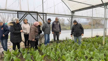 "Saygınlar Kulübü" üyeleri serada hasat yaptı