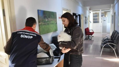 Sinop’ta hayvan kimliklendirme istatistikleri