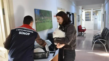 Sinop’ta hayvan kimliklendirme istatistikleri