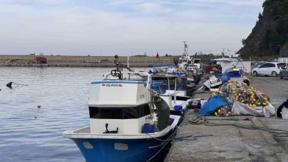 Zonguldak’ta hamsi yoğunluğu yaşandı, palamut çıkmadı