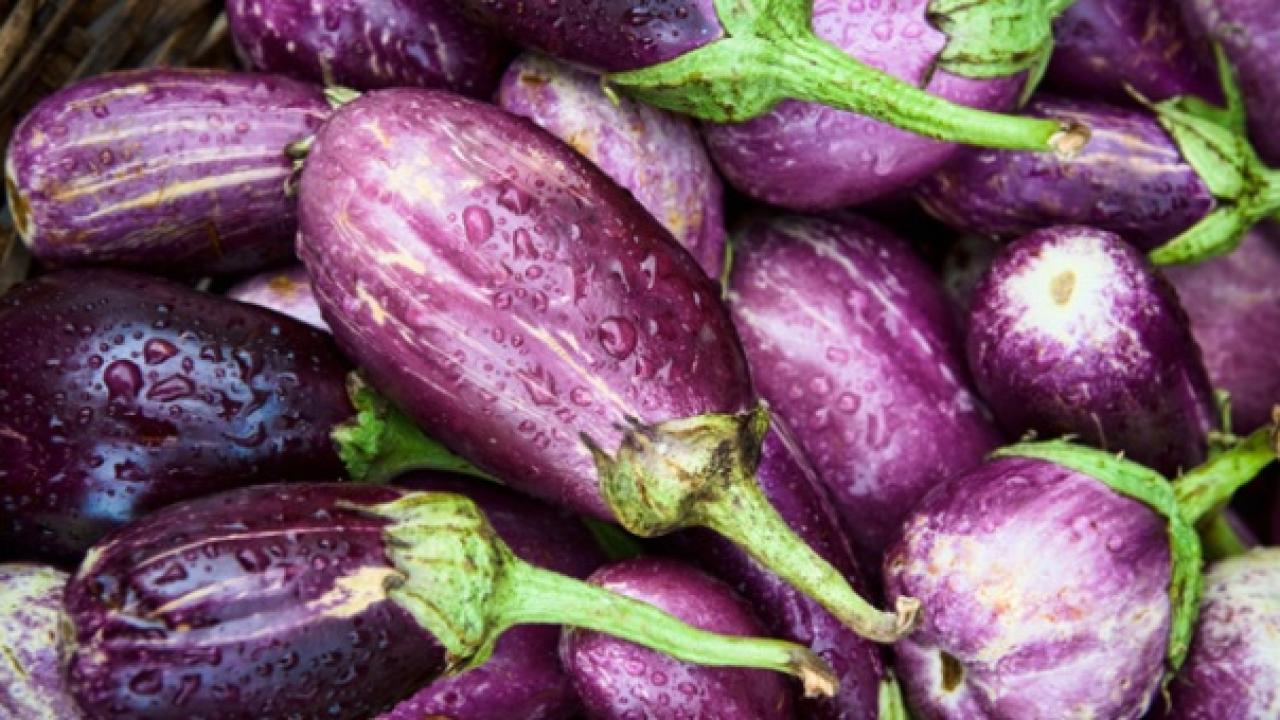 ACI PATLICANI KIRAĞI ÇALMAZ!