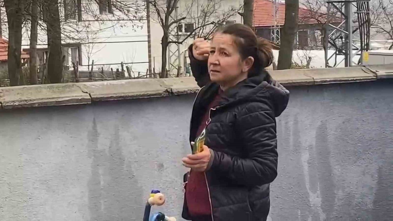 Ağaçta mahsur kalan kedi bir haftadır kurtarılmayı bekliyor