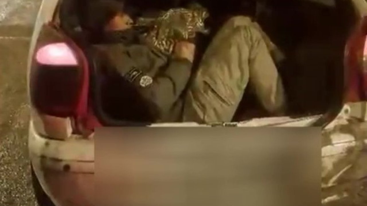 Amasya’da durdurulan otomobilden 5 kaçak göçmen çıktı