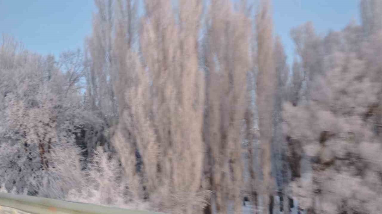 Aşkale’de Sibirya soğukları: Termometreler -30’u gösterdi