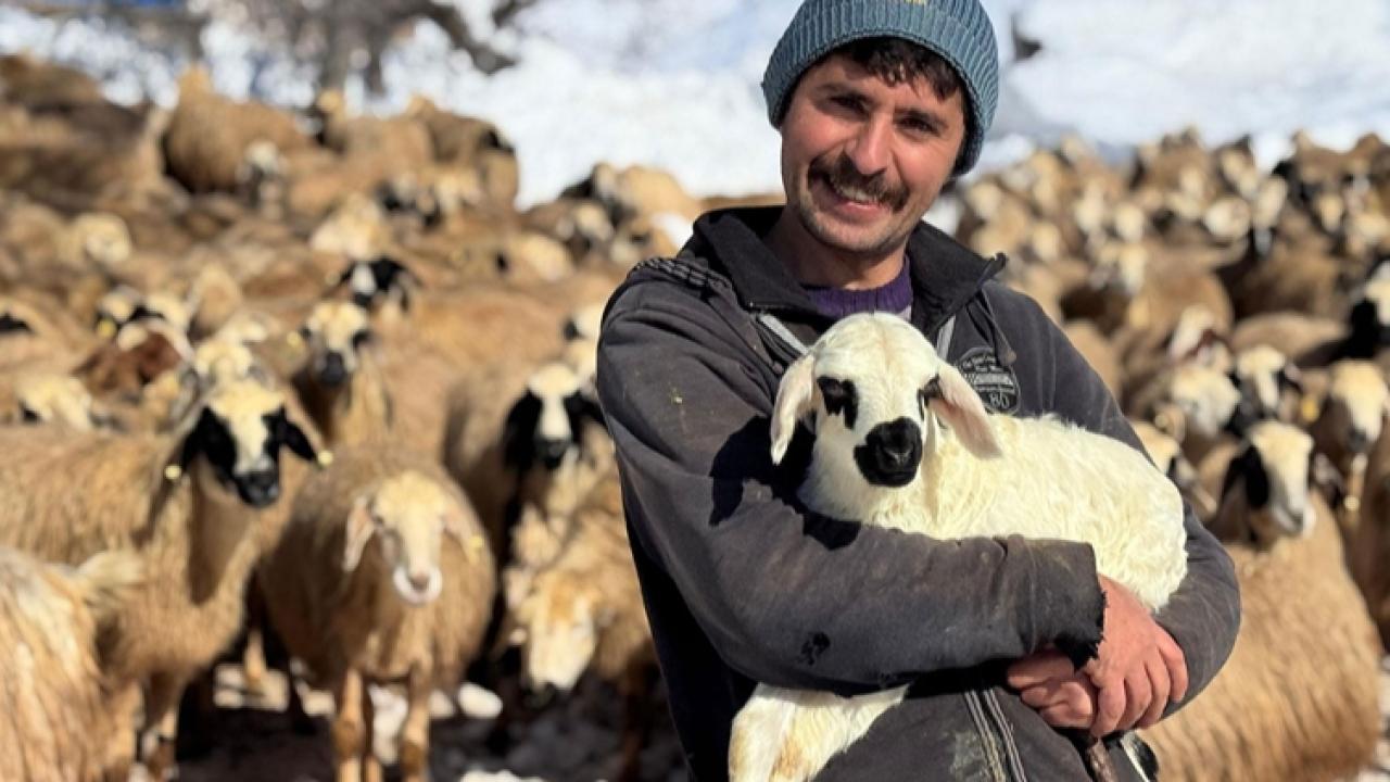 Atanamayan öğretmen adayı köyüne dönüp hayvancılığa başladı