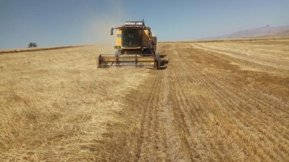 Bayburt’ta besici ve yetiştiricilere yemlik arpa satışı yapılacak