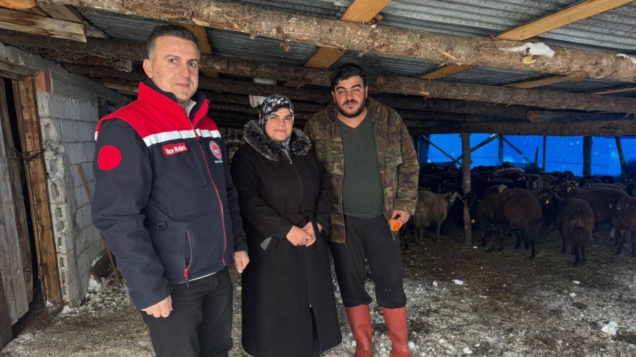 Bayburt’ta hayvancılığa yeni başlayan üreticilere destekler sürüyor