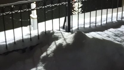 Bayburt’ta su samuru bu kez eşiyle birlikte görüntülendi