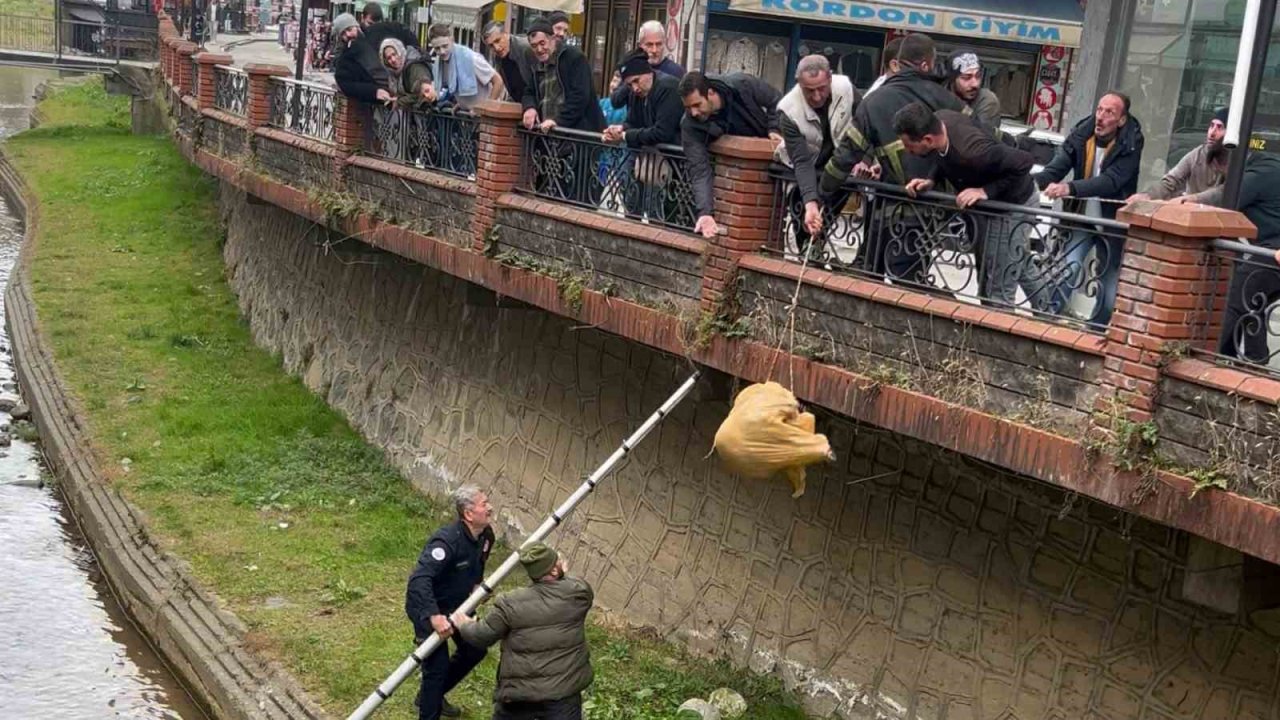 Dere yatağında mahsur kalan köpek itfaiye ve vatandaşın yardımıyla kurtarıldı