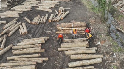 Düzce’den 23 bin 391,39 ton orman ürünü ihraç edildi