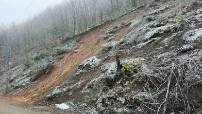 Fındıklıaksu köyünde heyelanların ardı arkası kesilmiyor