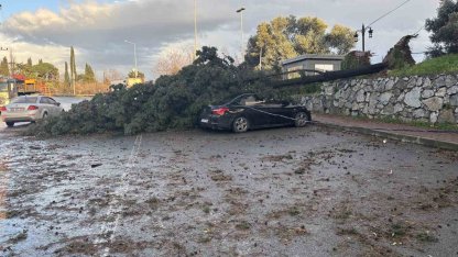 Gebze’de fırtınada iki otomobilin üzerine ağaç devrildi