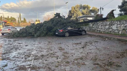 Gebze’de fırtınada iki otomobilin üzerine ağaç devrildi