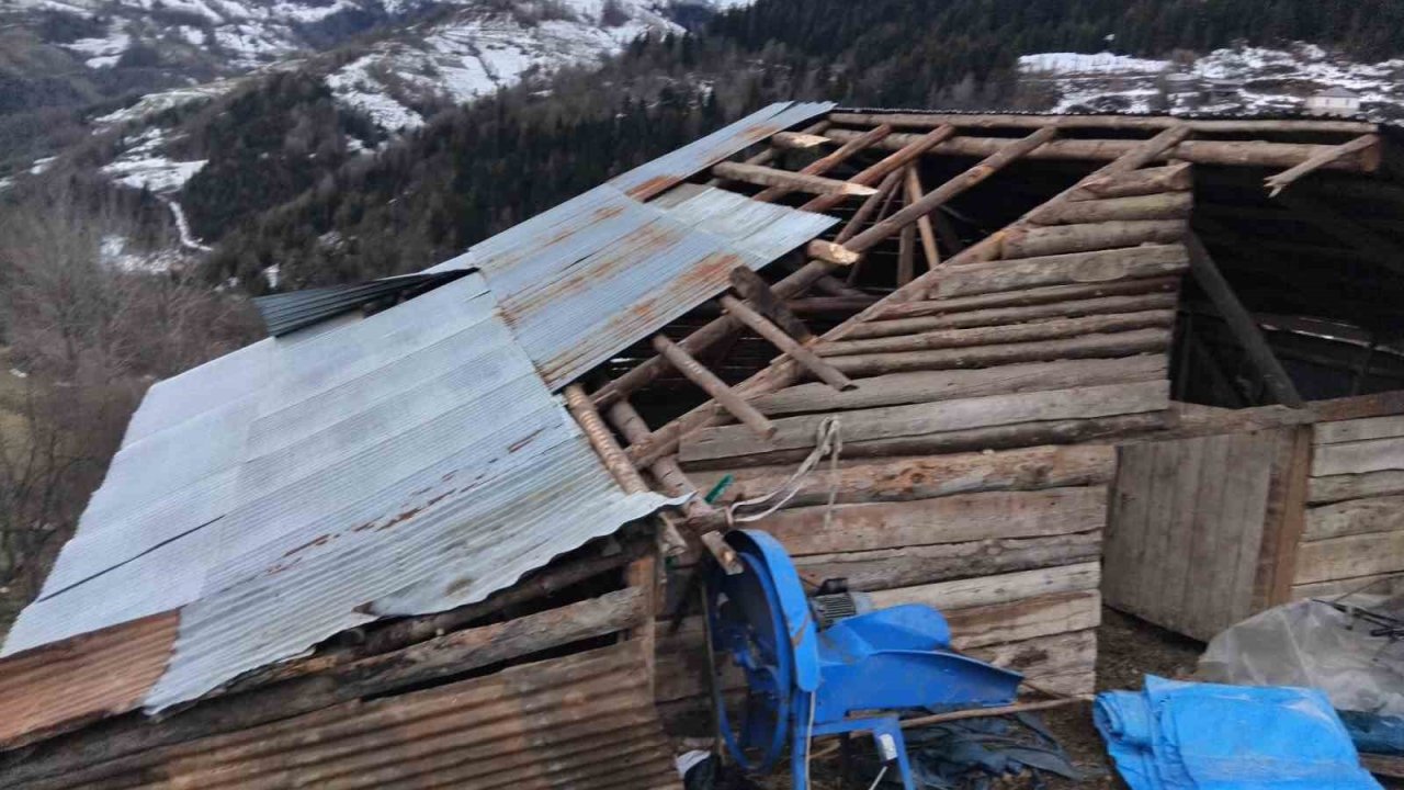 Giresun’da fırtınada bazı seralar ve yayla evleri hasar gördü