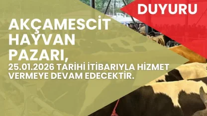 Hayvan pazarı 4 ay sonra yeniden hizmete açılacak