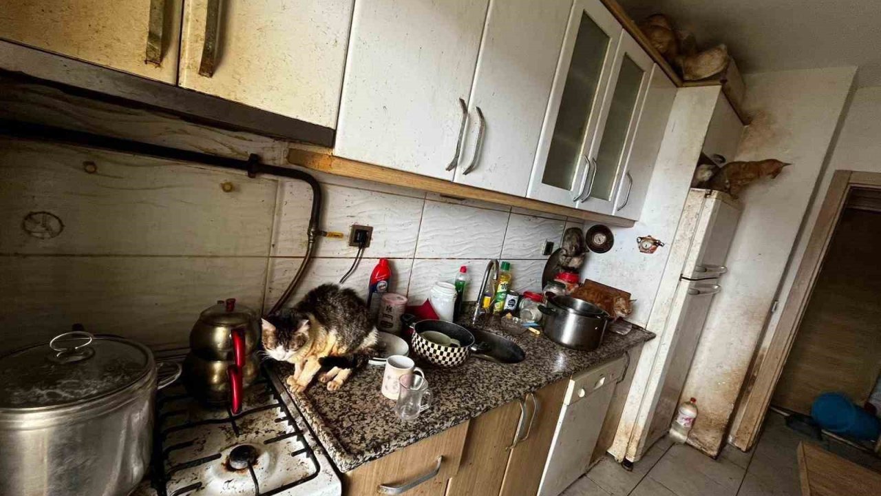 Kapı açılınca karşılaşılan manzara şoke etti