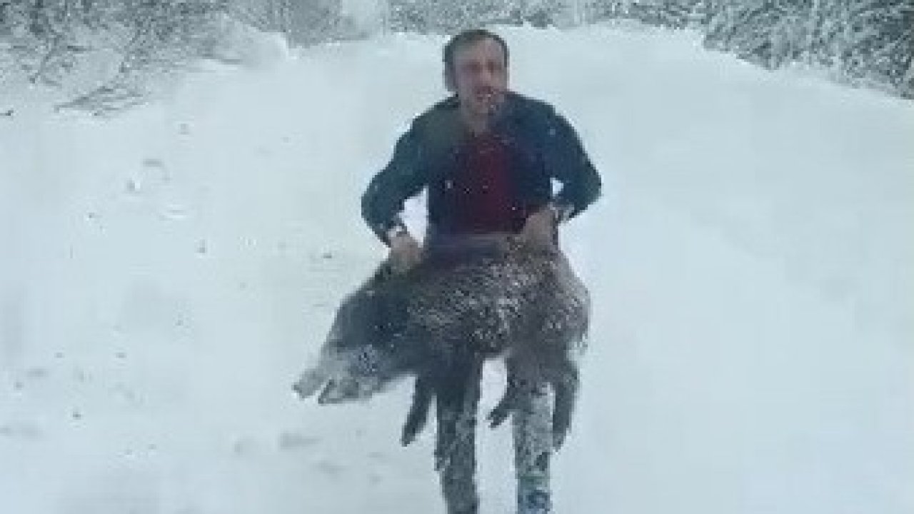 Karlı yolda domuzu elleriyle yakalayan adam konuştu: "Bir anı olsun diye yakaladım, kimseye tavsiye etmem"