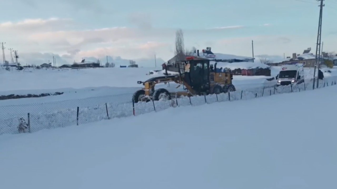 Kars’ta ’kar kaplanları’ndan hayat mesaisi