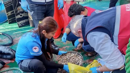 Kastamonu’da beyaz kum midyesi avcılığına yönelik denetimler sürüyor