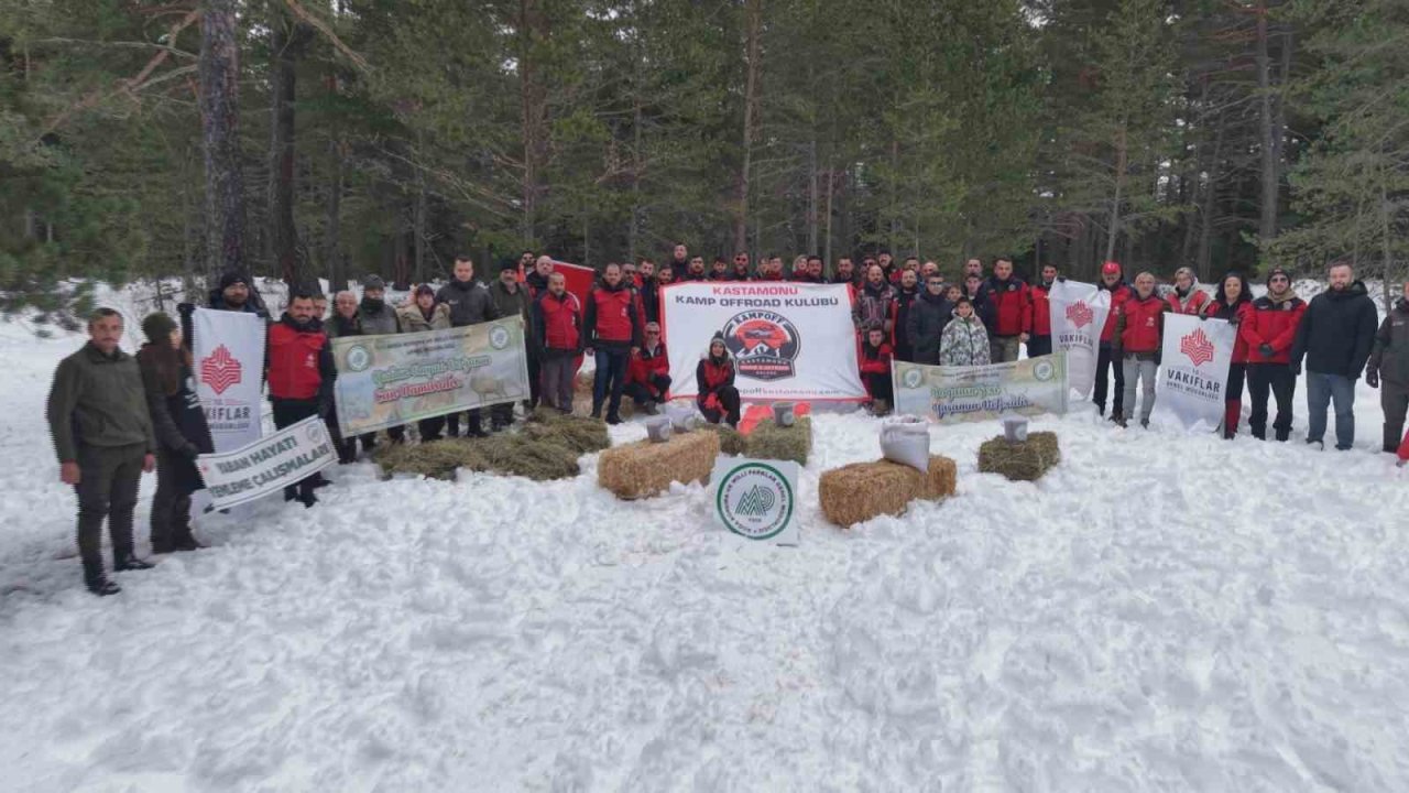 Kastamonu’da karla kaplanan ormanlara yaban hayvanları için yiyecek bırakıldı