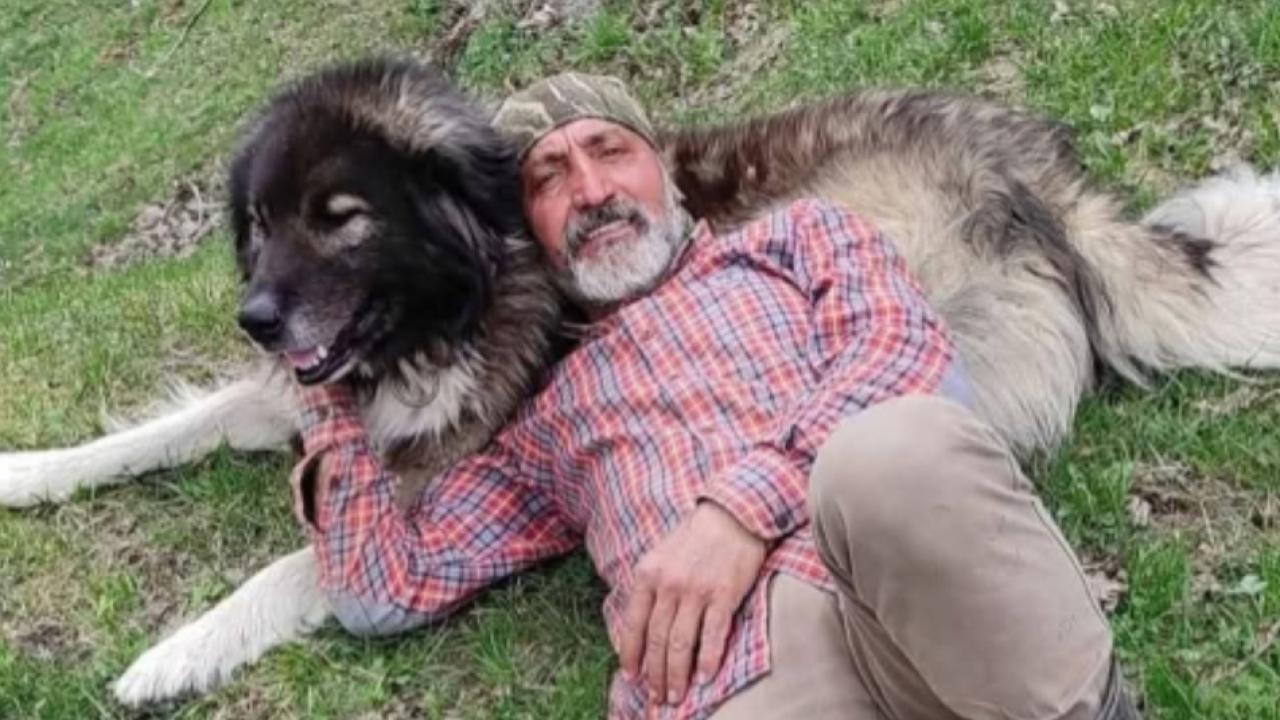 KEŞKE ÇOK DAHA ÖNCEDEN KÖYE GELSEYMİŞİM