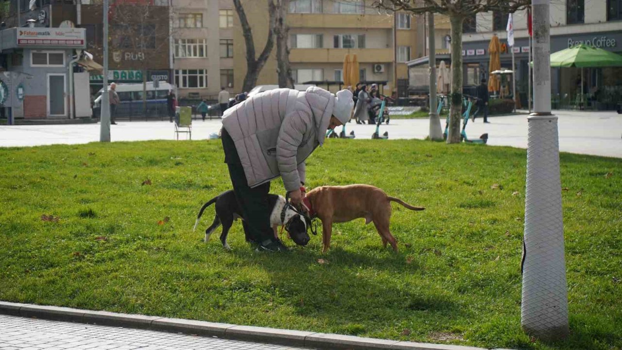 Kış ortasında sonbahar havası