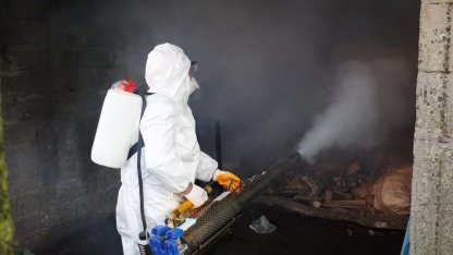 Ordu’da kahverengi kokarcaya karşı 300 binden fazla kışlak ilaçlanıyor