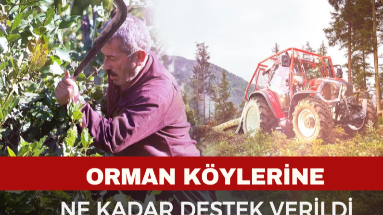 Orman Köylüsüne Dev Destek
