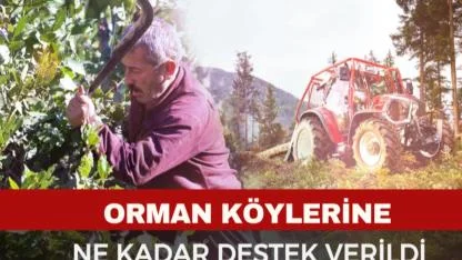 Orman Köylüsüne Dev Destek