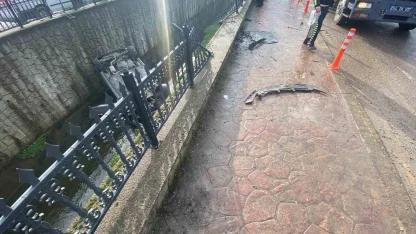 Sakarya’da kanala uçan aracın sürücüsü yaralandı