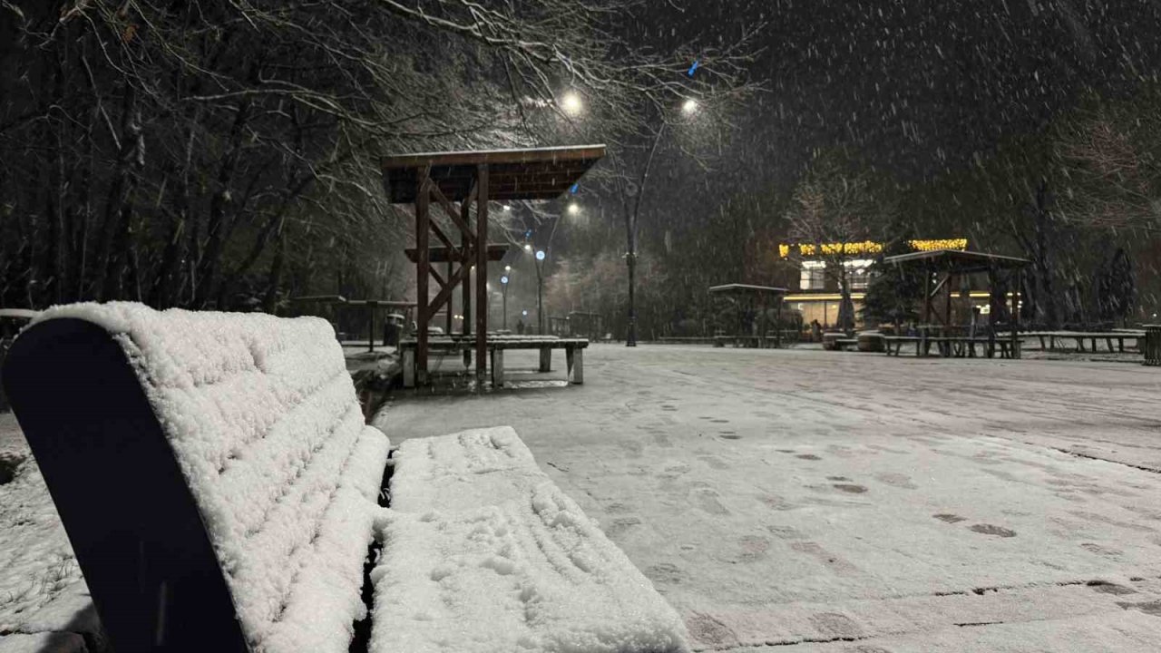 Sakarya’da lapa lapa kar yağışı başladı