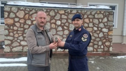 Sinop’ta jandarma ekipleri yaralı kuşa umut oldu