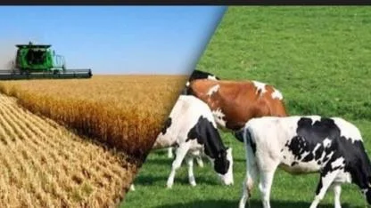 Tarım çöküyor... Çiftçiler çöküyor...